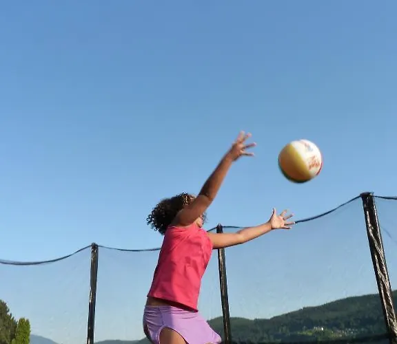 Sedlak Guest house 3*